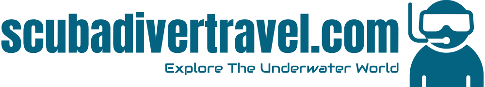 Scuba Diver Travel